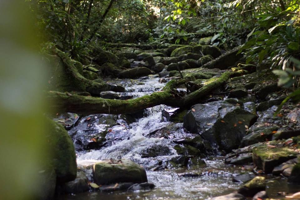 Pousada Bergen Huetten Rio Fortuna Dış mekan fotoğraf